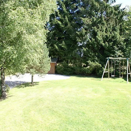 In Ardennes Near Forest Trails *