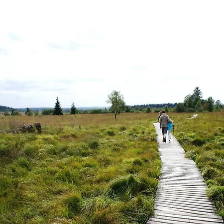In Ardennes Near Forest Trails
