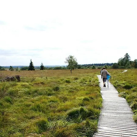 In Ardennes Near Forest Trails *
